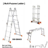 Ladder from mmcis china